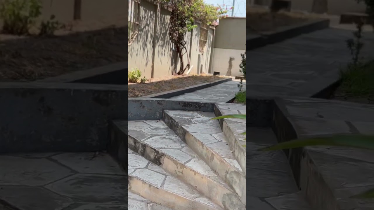 Little Dog complex 😂🤣 