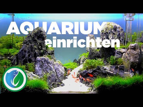 Video: So bereiten Sie ein tropisches Aquarium für Winterausfälle vor