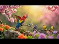 Relaxing Bird Sounds &amp; Gentle Piano 🌿 Spring Nature Ambience ✨ Stress Relief &amp; Calm Mind