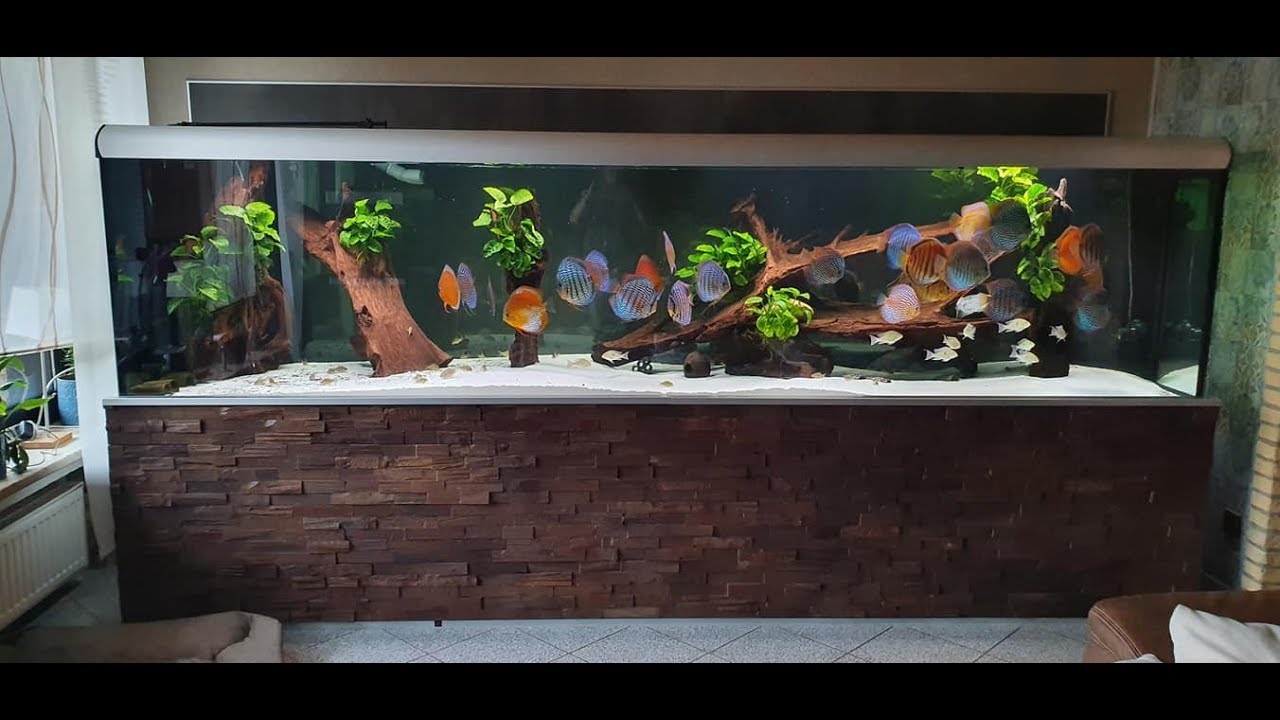 Discus Tank Builds Gorgeous Discus Tank (350x80x80cm, 2000 L, sumped) by Bianca and ...