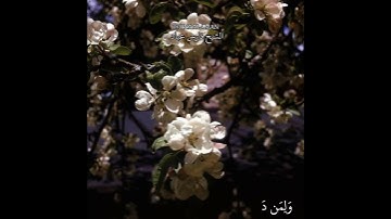 أواخر سورة نوح الشيخ فارس عباد حالات واتساب تلاوه خاشعه 🤎