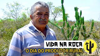 [VIDA NA ROÇA] Pedro Flór mostra seu rebanho de BOVINOS e CAPRINOS e a estrutura de sua Fazenda