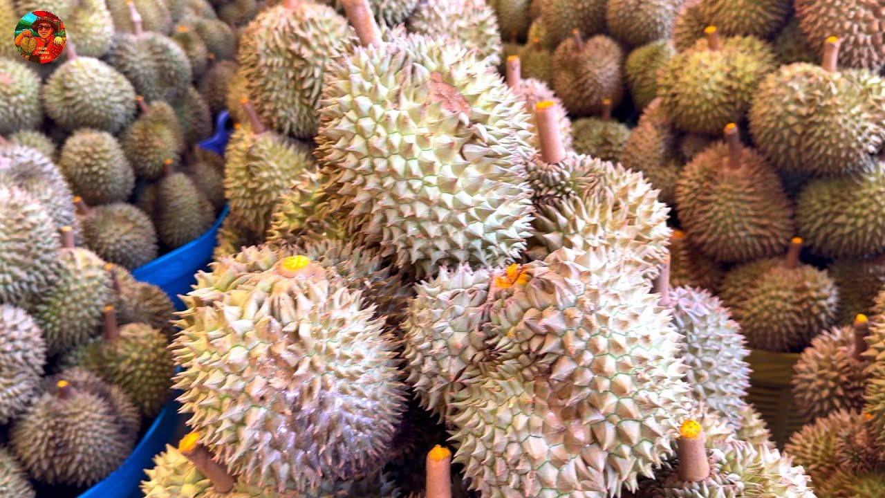 #ราคาทุเรียน#ตลาดไท #คลองหลวง #ปทุมธานี #ลุงน้อยchannel