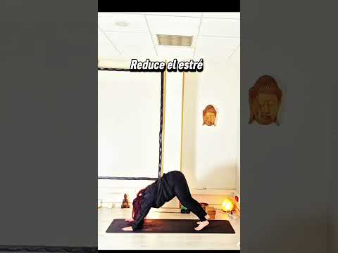 Estira espalda/ Previene migrañas/ Dolores de cabeza/ Conecta con el presente✨ #yoga #yogapractice