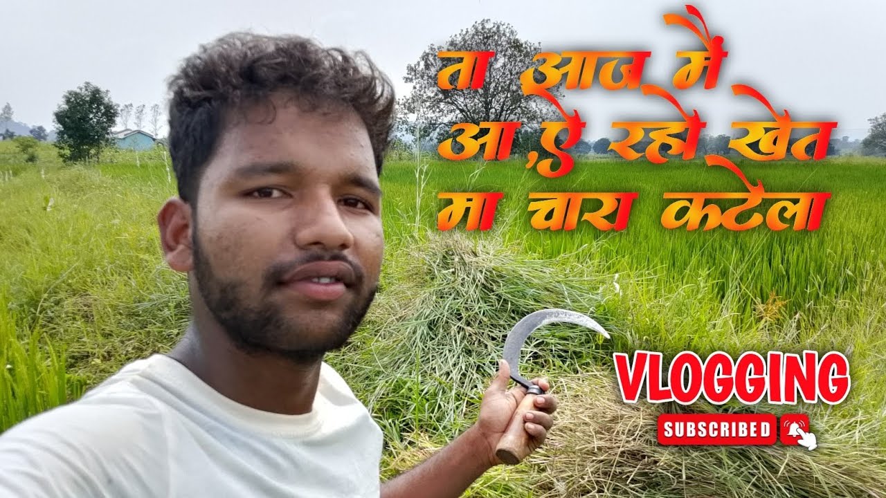 [VLOGGING]😯 ता आज मैं आऐ रहो खेत मां चारा काटेला || Official Devendra ...