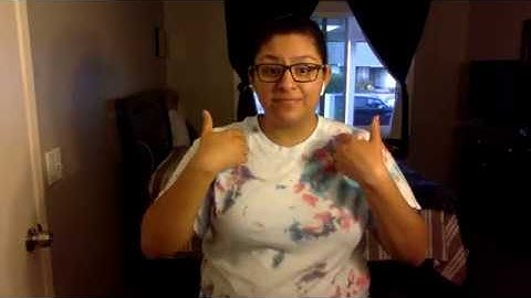 ASL II Final Video Assignment