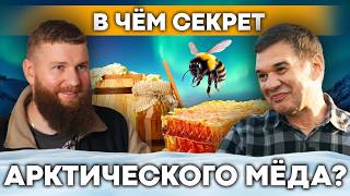 видео: Бросил IT и разводит ПЧЁЛ: арктическая пасека | Как получить грант и построить бизнес с нуля картинка: Бросил IT и разводит ПЧЁЛ: арктическая пасека | Как получить грант и построить бизнес с нуля
