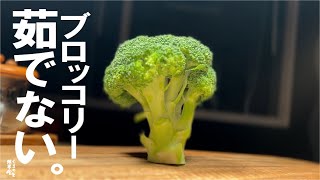 Baked Broccoli |