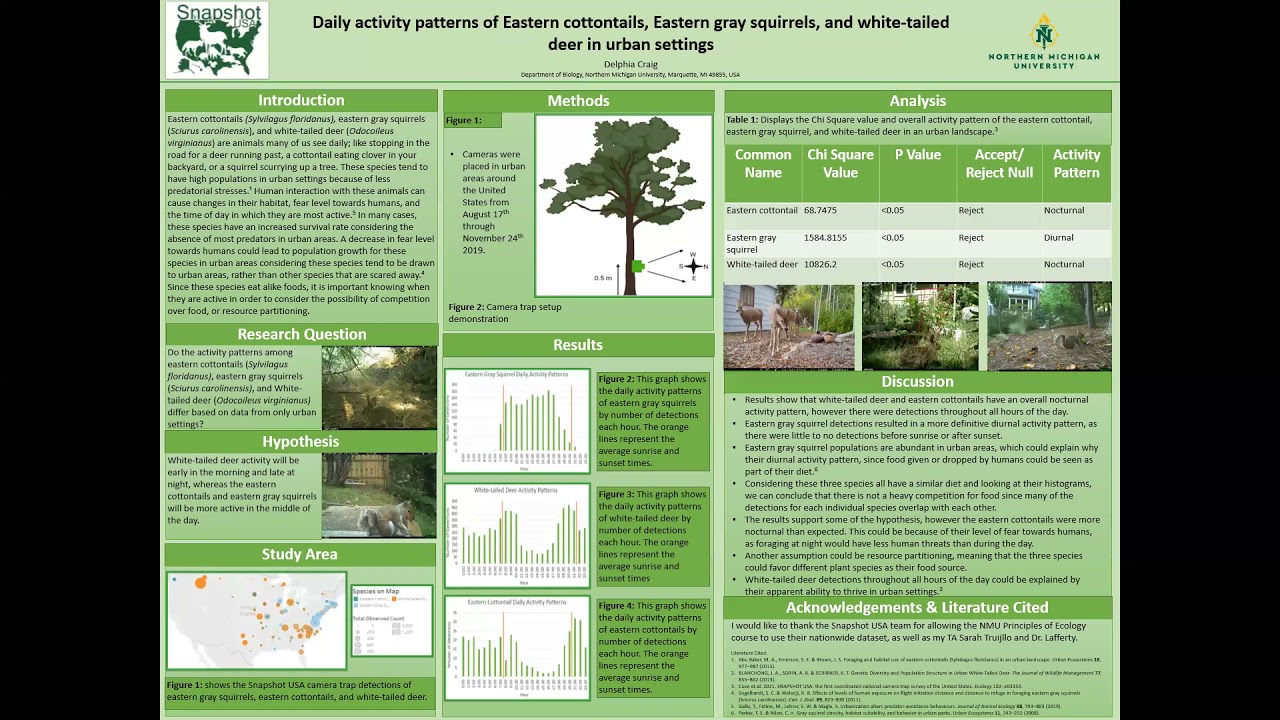 Snapshot USA Poster YouTube