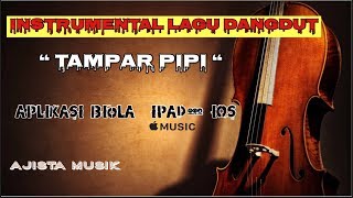 Download lagu TAMPAR PIPI INSTRUMENTAL BIOLA IPAD/iOS
