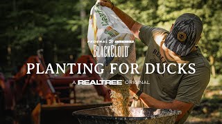 Planting Rice for Ducks | Easy Way to Hold More Ducks | Rusty Creasey from Coca Cola Woods