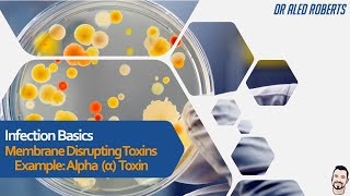 Bacterial Toxins, Membrane Disrupting Toxins