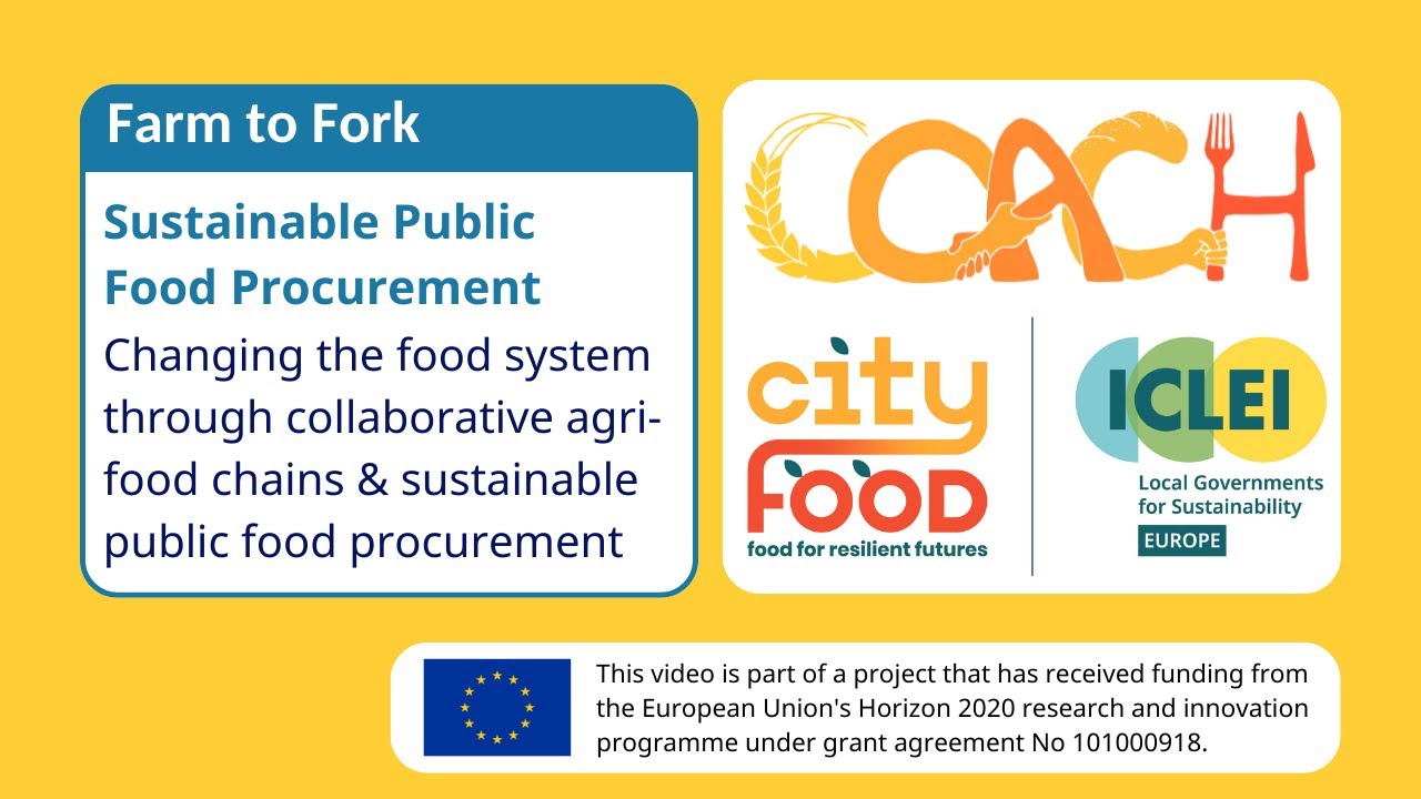 Sustainable Food Systems Through Public Food Procurement And sustainable-food-systems-through-public-food-procurement-and