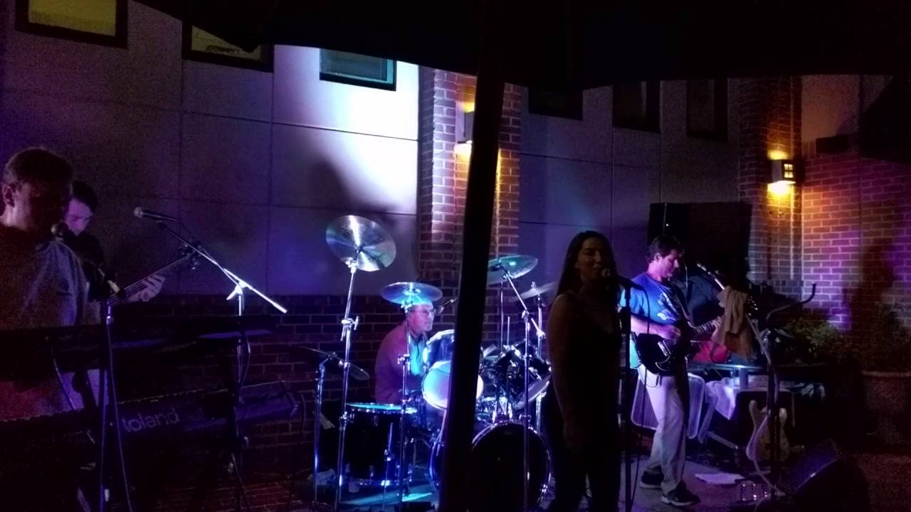 OneShot Finch at at Velocity 5 YouTube