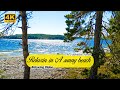 A sunny beach Relaxation ULTRA HD 4K, Water Sound, Sea Sound, Nature Sound for Recovery