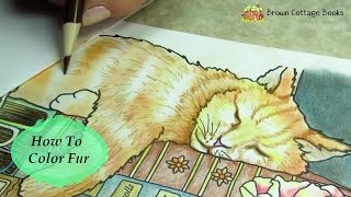 HOW TO COLOR FUR | Cat Coloring Tutorial | Annie Brown screenshot 2