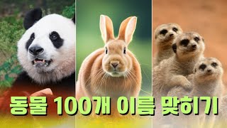 (풀영상) 동믈 사진 100개 이름 맞히기!