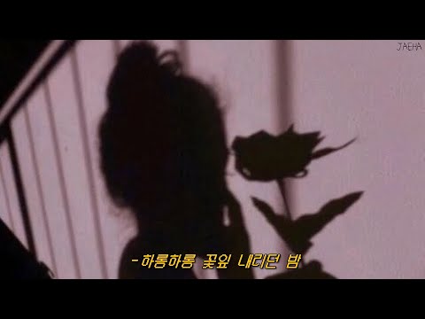 떨어지는 꽃잎도 알고 있는 걸 사람들은 몰라 🌸 𝙇𝙪𝙘𝙞𝙖 (심규선) - 어릿광대를 보내주오 [가사]