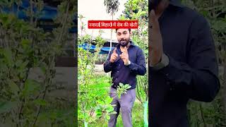 नवादा (बिहार) में सेब की खेती । apple farming in nawada bihar। #shorts #farming #applefarming