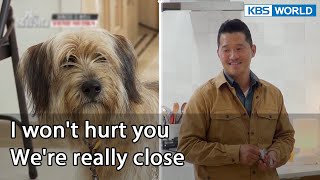 I won't hurt you. We're really close (Dogs are incredible EP.1037) | KBS WORLD TV 211208