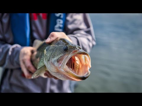 Early Spring Bass Fishing MN