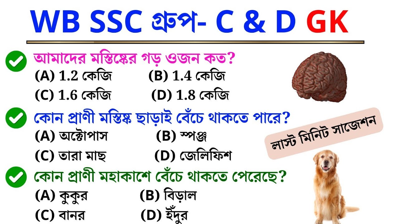 WB SSC গ্রুপ C & D GK | 100% কমন প্রশ্ন | লাস্ট মিনিট সাজেশন 2026