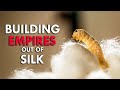 The future of silk the evolution of natures greatest tool