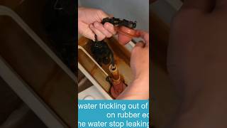 fix leaky toilet #plumbing #toiletrepair #toilettank #diy #toilet #toiletflush #plumber #howto
