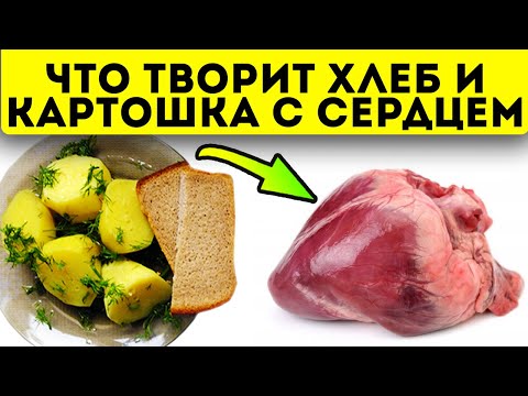 Вот она - правда! Реакция миокарда на картошку и хлеб вас удивит!