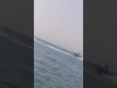 باي باي سلام