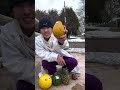 Verification Which Fruit Skin Is The Most Slippery Are Banana Skins Really Slippery Verification Which Fruit Skin Is The Most Slippery Are Banana Skins Really Slippery