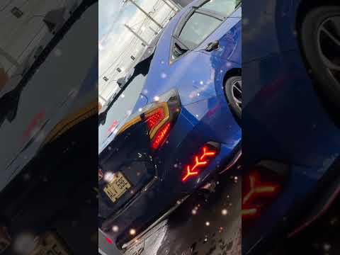 Shortvideo Shorts سكران علا جالك وقيلا قالوهالك 