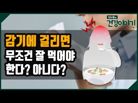 감기에 걸리면 무조건 잘먹어야 한다!?  / 독감 예방접종을 하면 감기에 걸리지 않는다?  [닥터유의 건강이야기]