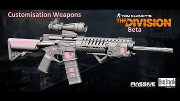 Division Weapon Customisation