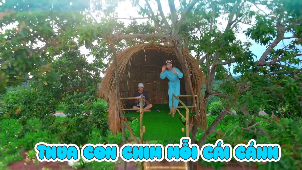 Chị Thơ Nguyễn Làm Nhà Trên Cây Cao Hơn Tổ Chim