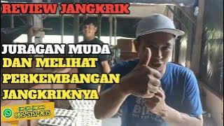 MENGUNJUNGI🟠JURAGAN MUDA DAN MENYURVE PERKEMBANGAN JANKRIKNYA