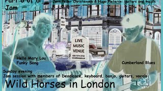 Wild Horses in London - Jerry Garcia Celebration August 1998 (6 of 6)