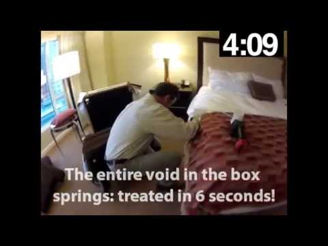 Kill Bed Bugs in 5 Minutes