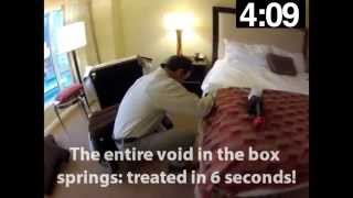 Kill Bed Bugs in 5 Minutes