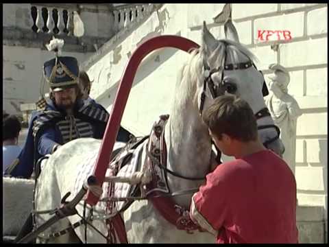 КРТВ Пушкин лайф