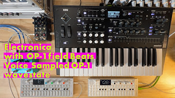 Electronica with wavestate, OP-1 field Beats, Voice sampled OP-1 | Curiosity 2025-11-09 by atnr