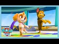 PUP PUP BOOGIE Paw Patrol WildBrain Kids 