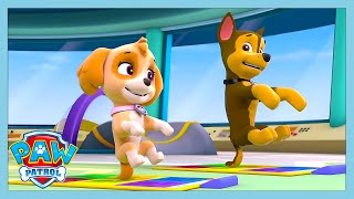 PUP PUP BOOGIE! | Paw Patrol | WildBrain Kids