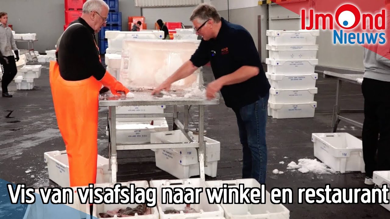 Vis van visafslag naar winkel en restaurant