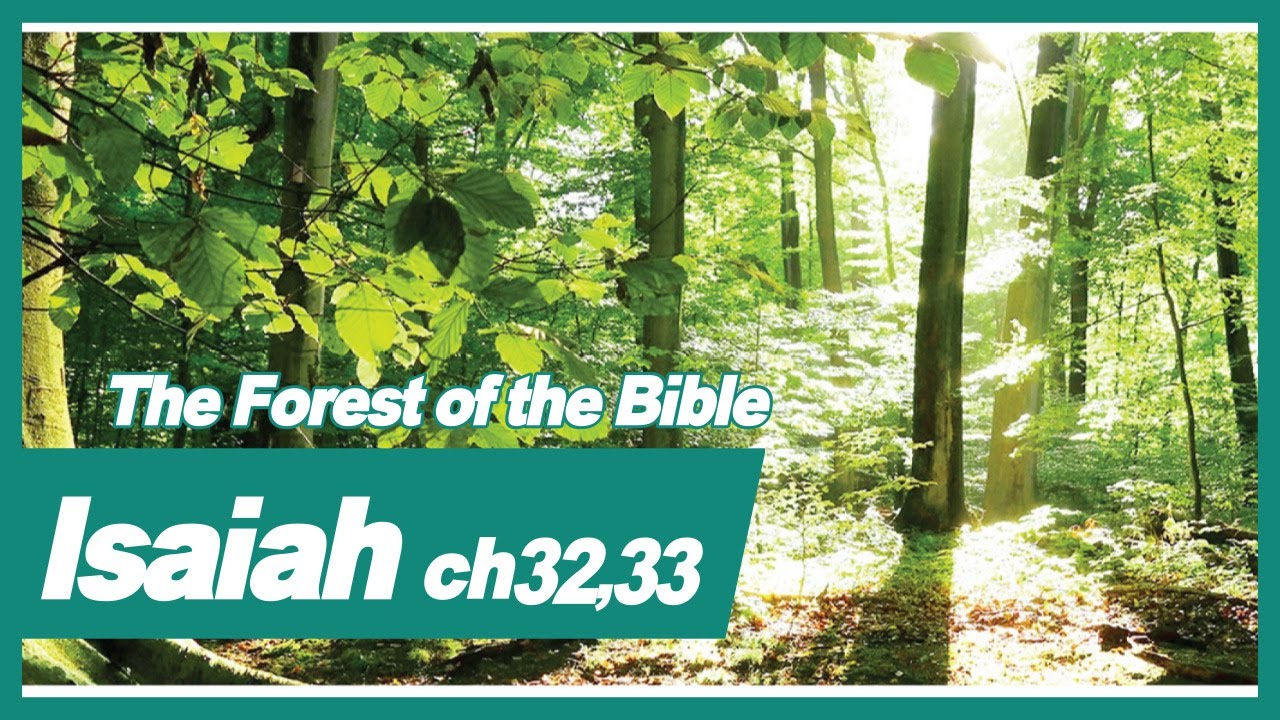 The Forest Of The Bible Isaiah 32 33 YouTube the-forest-of-the-bible-isaiah-32-33-youtube