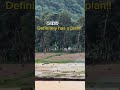 আল্লাহর উপর ভরসা রাখুন! ❤️‍ #reels #shortvideo #islamic  #viralvideo #shorts #shotfeed #shortsfeed