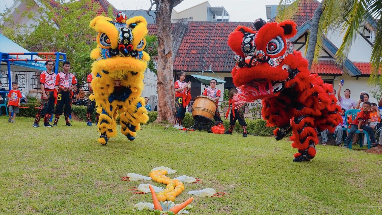 PERMAINAN BARONGSAI ADAT NAGA MAS | TJO SU BIO