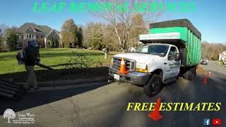 Residential and Commercial Leaf Removal