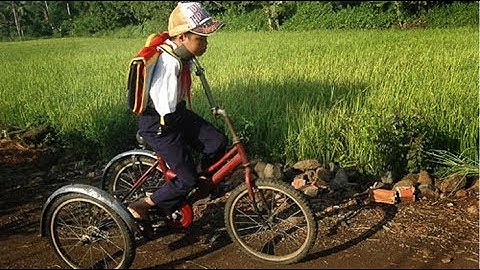 [Vui Sống Mỗi Ngày ] Chuyện thật về cậu bé chim cánh cụt “biết bay”