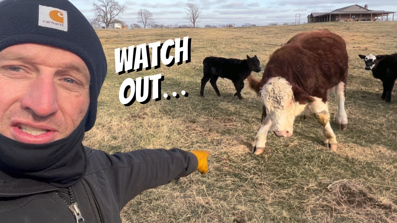 WE DIDN’T EXPECT THIS - YouTube